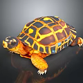 Colorful Tortoise With Yellow And Black Patterned Shell Vibrant Limbs And Head On Dark Background