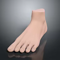 Man's Realistic Foot Model With Light Skin Tone On Dark Reflective Surface
