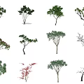 The Modern Tree 3d model