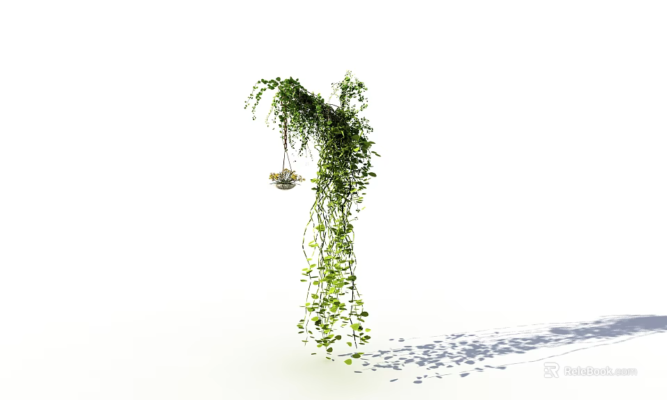Lush Hanging Vine With Green Trailing Leaves And Soft Shadows On White Background 3d model 