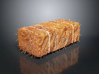 Brown Hay Bale Tied With Strings On Reflective Black Surface 3d model