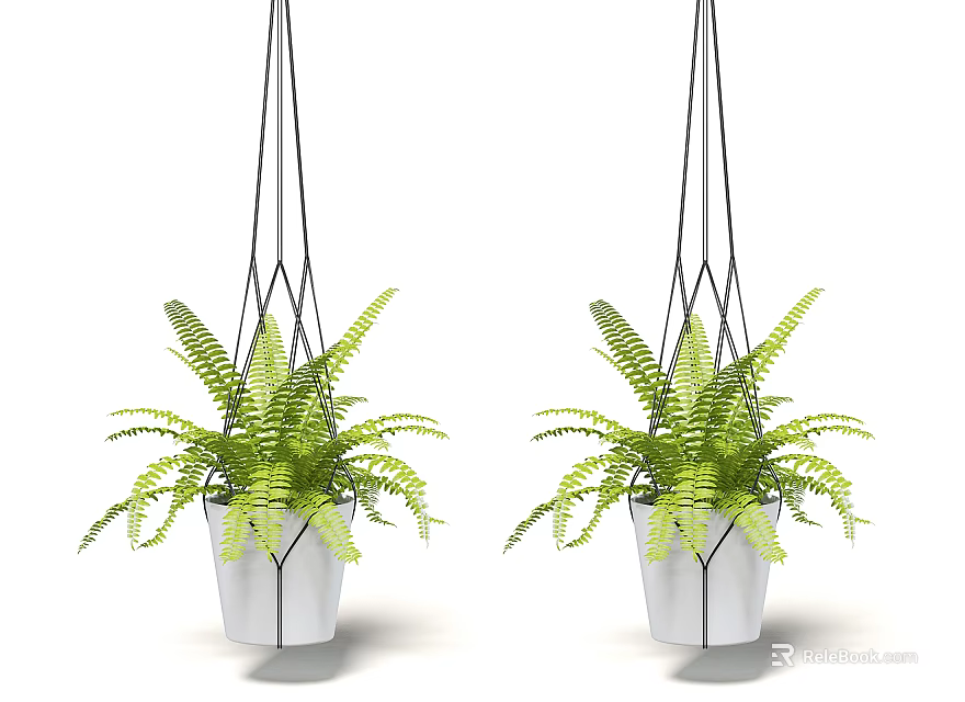 Hanging Planter with Green Fern Plants White Pot and Black Geometric Ropes for Home Decor 3d model 