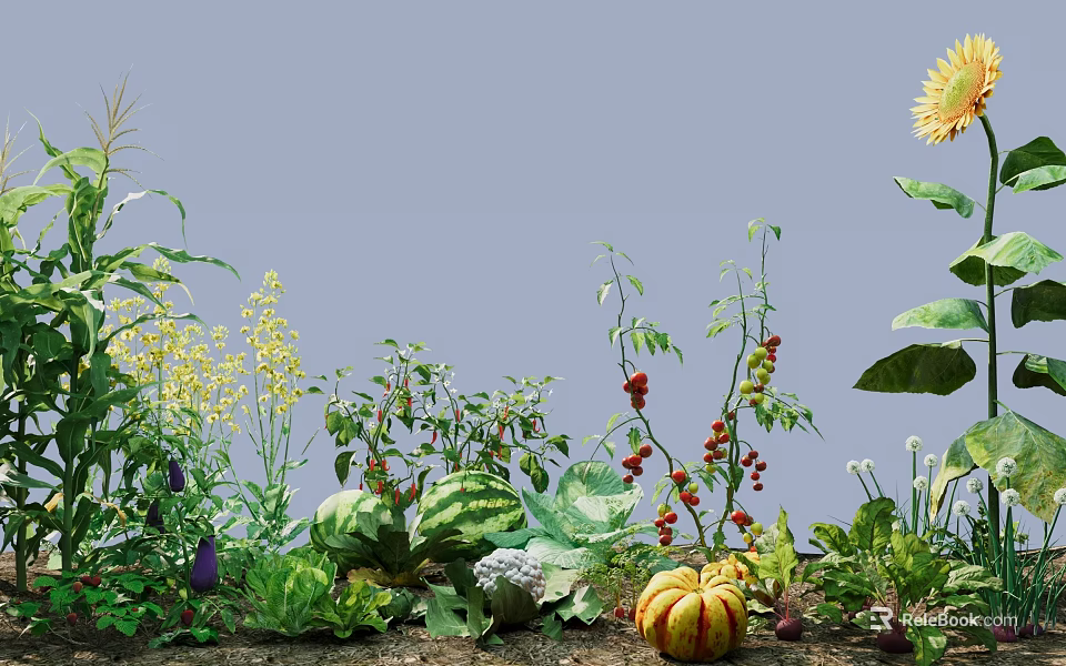 Diverse Crops Including Sunflower Corn Tomatoes And Watermelon Growing In Garden 3d model 