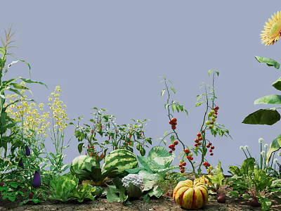 crops vegetables fruits sunflower pumpkin watermelon eggplant carrot 3d model