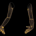 White Mannequin Arms for Display in Retail or Fashion Settings