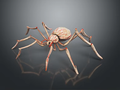 3D Spider Model With Textured Body Long Slender Legs And Red Lines On Dark Background 3d model