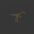 Modern skeleton dinosaur skeleton dinosaur fossil 3d model