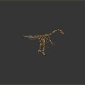 Modern skeleton dinosaur skeleton dinosaur fossil 3d model