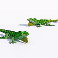 Two Green Striped Lizards With Yellow Throat Fans On White Surface