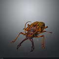 Orange and Black Striped Beetle With Long Antennae Large Mandibles and Distinctive Exoskeleton