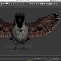 Realistic Sparrow High Precision Bird Flying Bird 3d model
