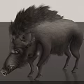 Wild Boar With Shaggy Mane And Gray Fur In Realistic Standing Posture
