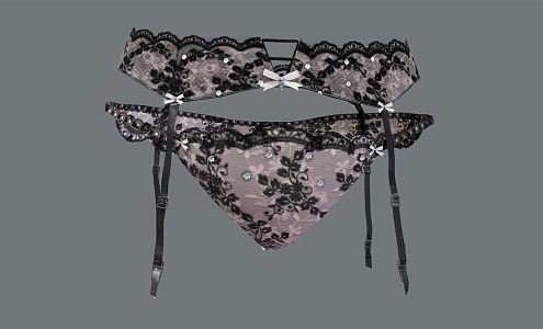 Modern Panties Lace Panties 3d model