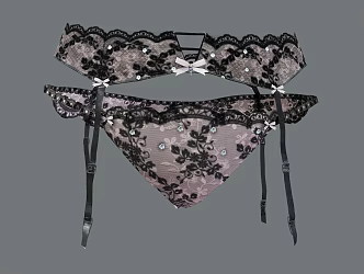 Modern Panties Lace Panties 3d model