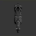 Realistic 3D Zebra Character With Black And White Stripes Standing On Dark Background