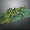 3D Terrain Landscape Model With Green Vegetation And White Pathways