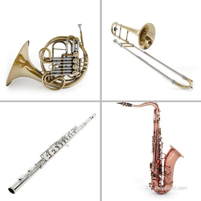 Various Brass and Woodwind Musical Instruments Including French Horn Trombone Clarinet and Saxophone 3d model 