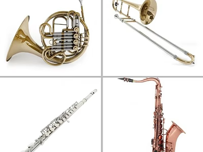 Various Brass and Woodwind Musical Instruments Including French Horn Trombone Clarinet and Saxophone 3d model