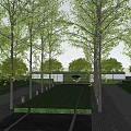 Park Landscape With Lush Green Trees Paved Walkway and Neat Green Belts Under Clear Sky