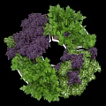 Bonsai Planter with Green and Purple Foliage in Circular Arrangement for Indoor Decor