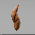 Single Fresh Sweet Potato With Natural Curved Shape And Healthy Organic Food