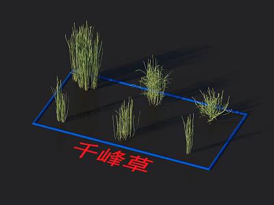 Qianfeng Grass Various Types And Heights Display For Natural Landscape Green Decoration Plants 3d model