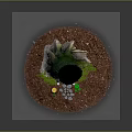 Tree Stump Building with Carved Door Stone Path Moss and Gold Coins
