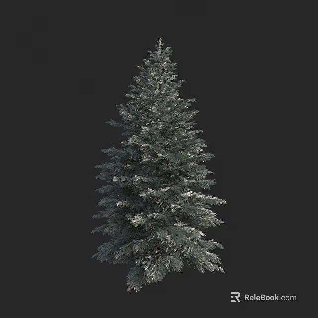 Tall Evergreen Tree with Dense Green Foliage Isolated on Black Background 3d model 