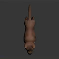 3D Character Model of a Brown Dog with White Chest Standing on Dark Background