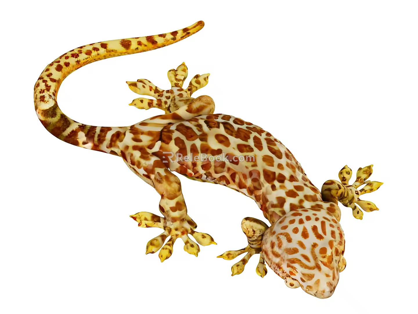 Lizard Small Lizard Leopard Gecko Four-leged Snake Reptile Cartoon Animal 3d model