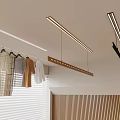 Modern Interior With Hanging Clothes Hangers Strip Lights And Wooden Panel Wall
