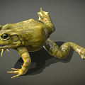 Detailed 3D Green Frog Model with Realistic Eyes and Textured Skin Features