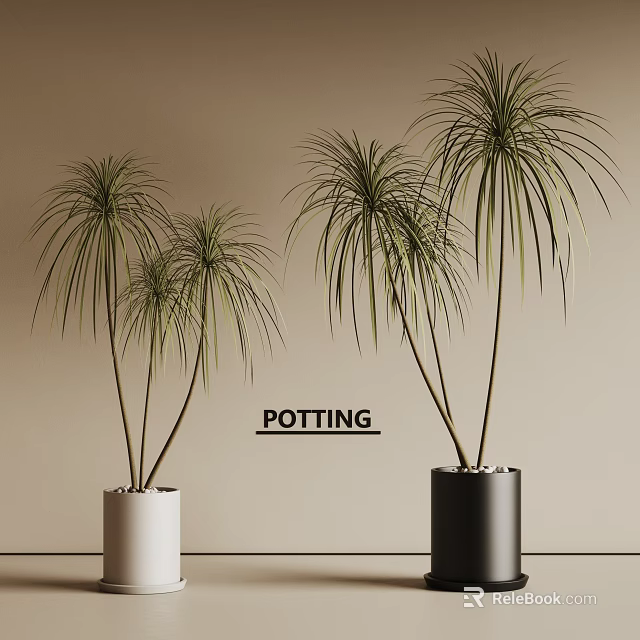Indoor Decorative Potted Plants With Long Leaves In White And Black Pots 3d model 