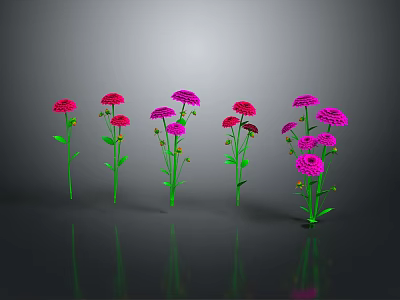 Vibrant Red And Purple Flowers With Green Stems And Leaves On Reflective Dark Surface 3d model