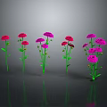 Vibrant Red And Purple Flowers With Green Stems And Leaves On Reflective Dark Surface