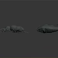 Grey Colored 3D Rendered Insect Models Of Different Species