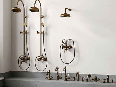 European-style shower faucet spray model