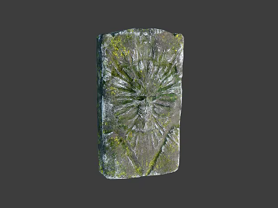 Moss Covered Ancient Stone Slab With Intricate Carved Patterns And Natural Weathered Texture 3d model
