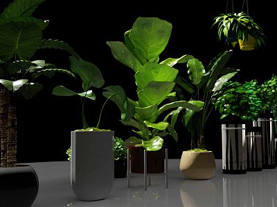 Modern Potted Plant Green Plant Potted Plant Decoration model