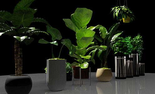 Modern Potted Plant Green Plant Potted Plant Decoration 3d model