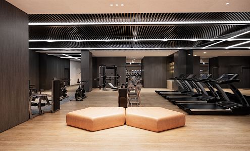 Modern Gym 3d model