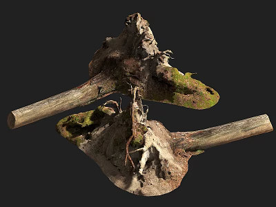 Organic Natural Stone Wood Decorative Craft With Mossy Texture And Root Details 3d model