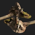 Organic Natural Stone Wood Decorative Craft With Mossy Texture And Root Details