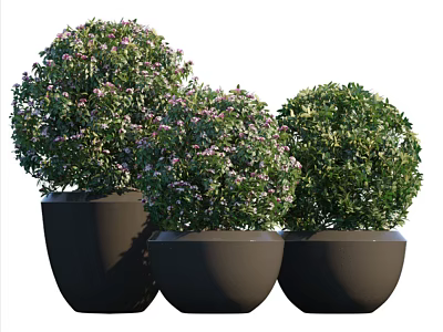 Bonsai Potted Plants Round Shaped Greenery With Purple Flowers In Dark Gray Circular Pots 3d model