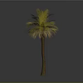 Lush Tropical Palm Tree With Green and Yellow Leaves And Brown Trunk