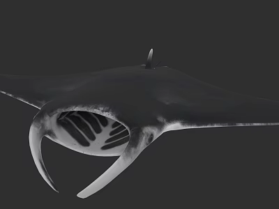 Manta Ray With Broad Pectoral Fins And Open Mouth In Ocean Habitat 3d model