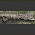Rustic Wooden Log Decor On Stone Base With Natural Moss And Soil