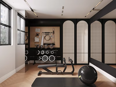 Modern Home Gym Interior With Exercise Ball And Fitness Equipment 3d model