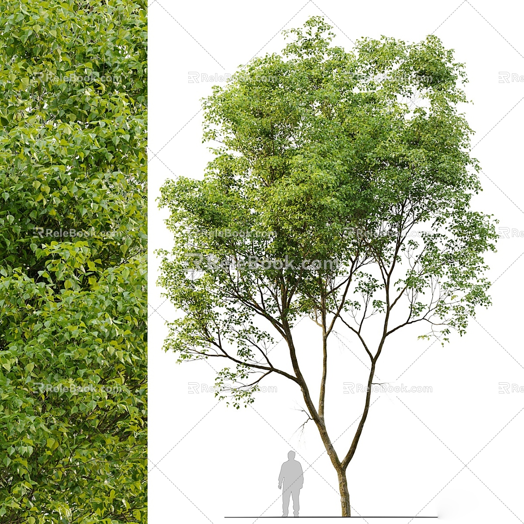 The Modern Tree 3d model