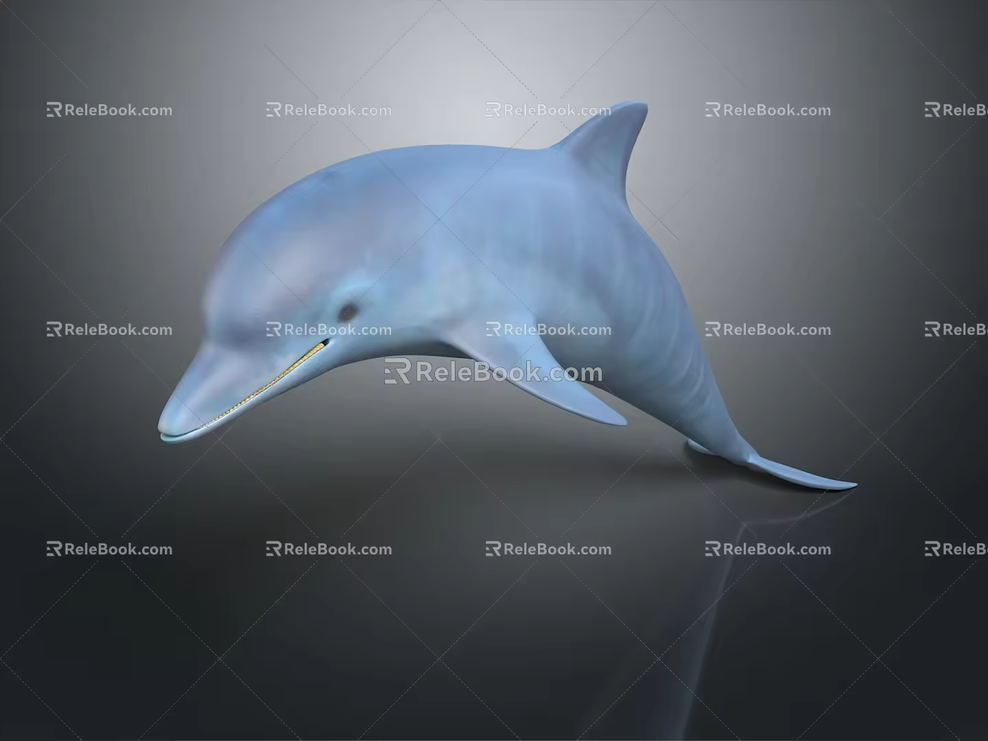 Spotting Dolphin Dolphin Cartoon Dolphin Animation Dolphin Animation Dolphin Animation Character Game Character 3d model